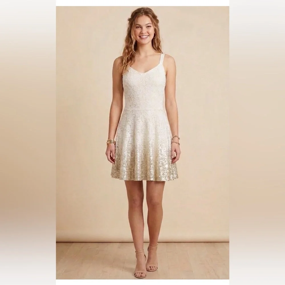 Free People Cream Lace Metallic Ombré Fit And Flare Dress. Large. Bridal.